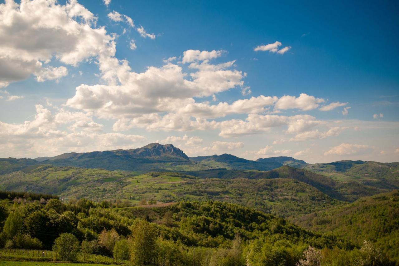 Vila Angelina Kušići Zewnętrze zdjęcie