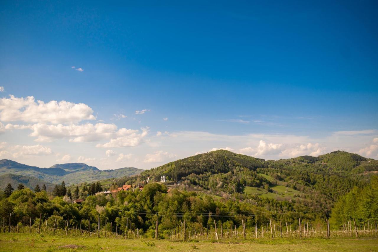 Vila Angelina Kušići Zewnętrze zdjęcie